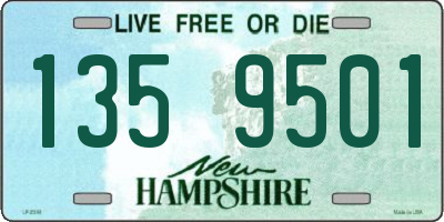 NH license plate 1359501