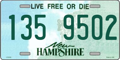 NH license plate 1359502