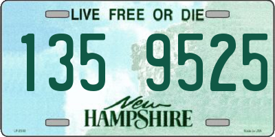 NH license plate 1359525