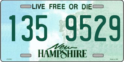 NH license plate 1359529
