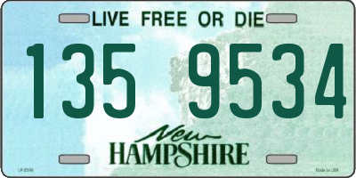 NH license plate 1359534