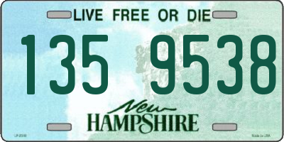 NH license plate 1359538