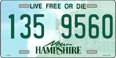 NH license plate 1359560