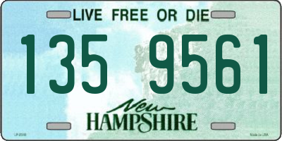 NH license plate 1359561