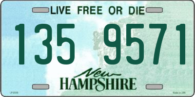 NH license plate 1359571