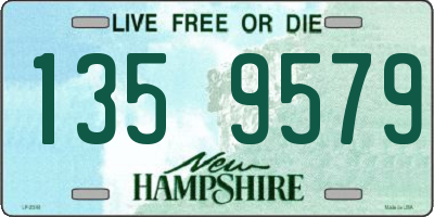 NH license plate 1359579