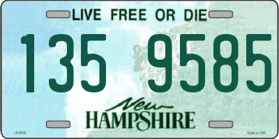 NH license plate 1359585