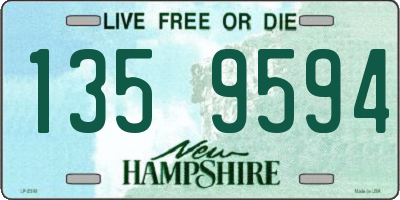 NH license plate 1359594