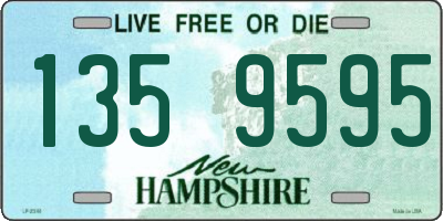 NH license plate 1359595