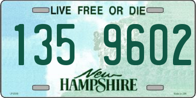 NH license plate 1359602