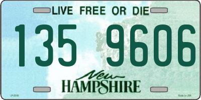 NH license plate 1359606