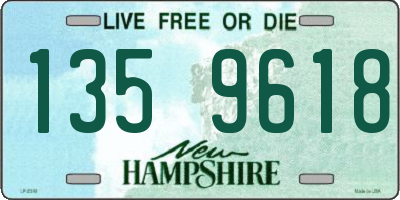 NH license plate 1359618