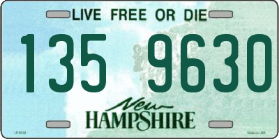 NH license plate 1359630