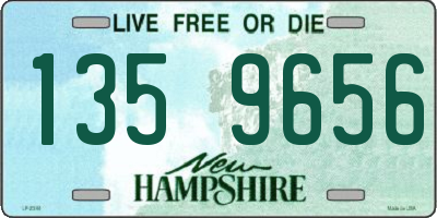 NH license plate 1359656