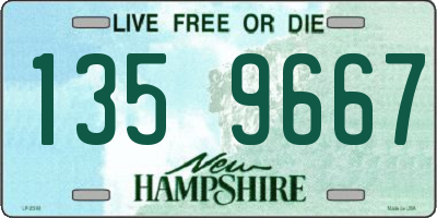 NH license plate 1359667
