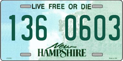 NH license plate 1360603