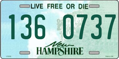 NH license plate 1360737