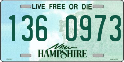 NH license plate 1360973