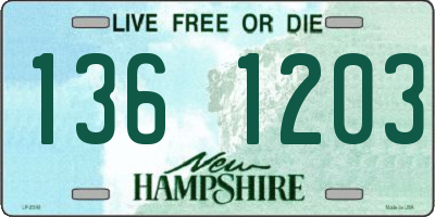 NH license plate 1361203
