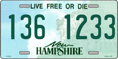 NH license plate 1361233