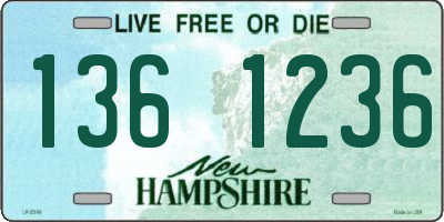 NH license plate 1361236