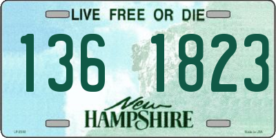NH license plate 1361823