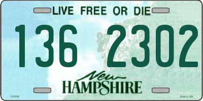 NH license plate 1362302