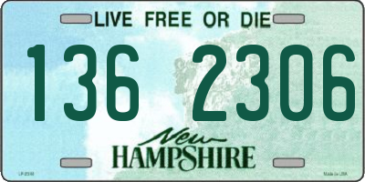 NH license plate 1362306