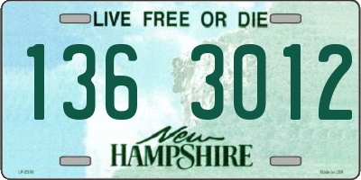 NH license plate 1363012