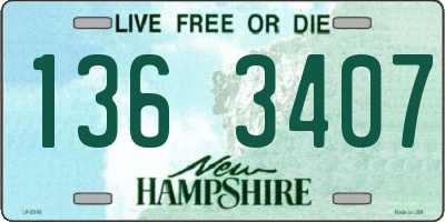 NH license plate 1363407