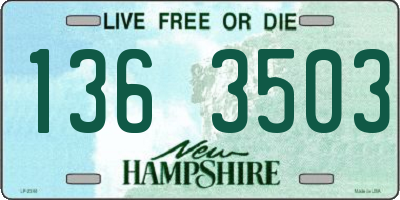 NH license plate 1363503