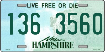 NH license plate 1363560