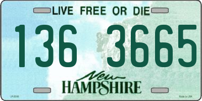 NH license plate 1363665