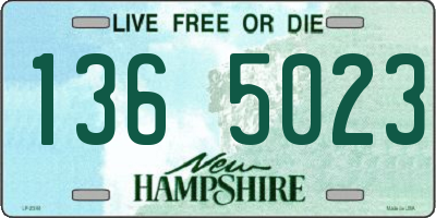 NH license plate 1365023