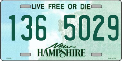 NH license plate 1365029
