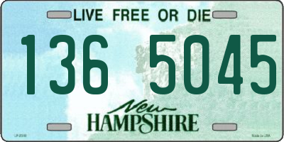 NH license plate 1365045