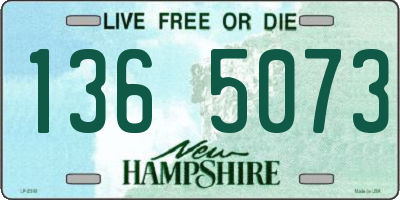 NH license plate 1365073