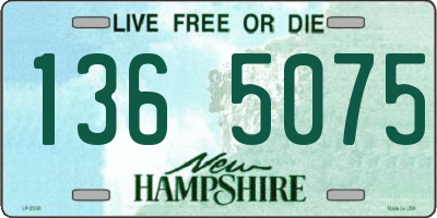 NH license plate 1365075