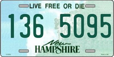 NH license plate 1365095
