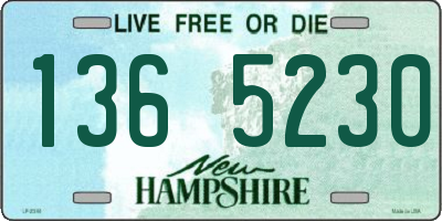 NH license plate 1365230