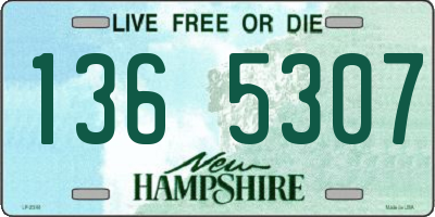 NH license plate 1365307