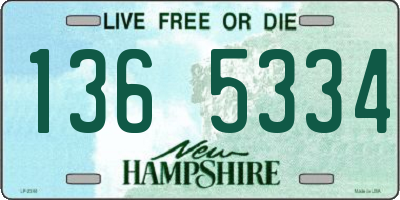 NH license plate 1365334