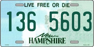 NH license plate 1365603