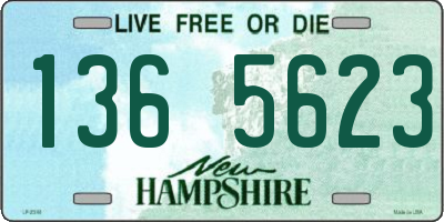 NH license plate 1365623