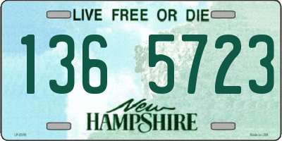 NH license plate 1365723
