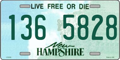 NH license plate 1365828
