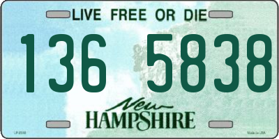 NH license plate 1365838