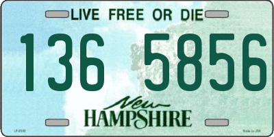 NH license plate 1365856