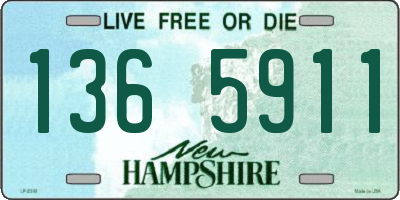 NH license plate 1365911