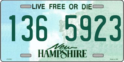 NH license plate 1365923